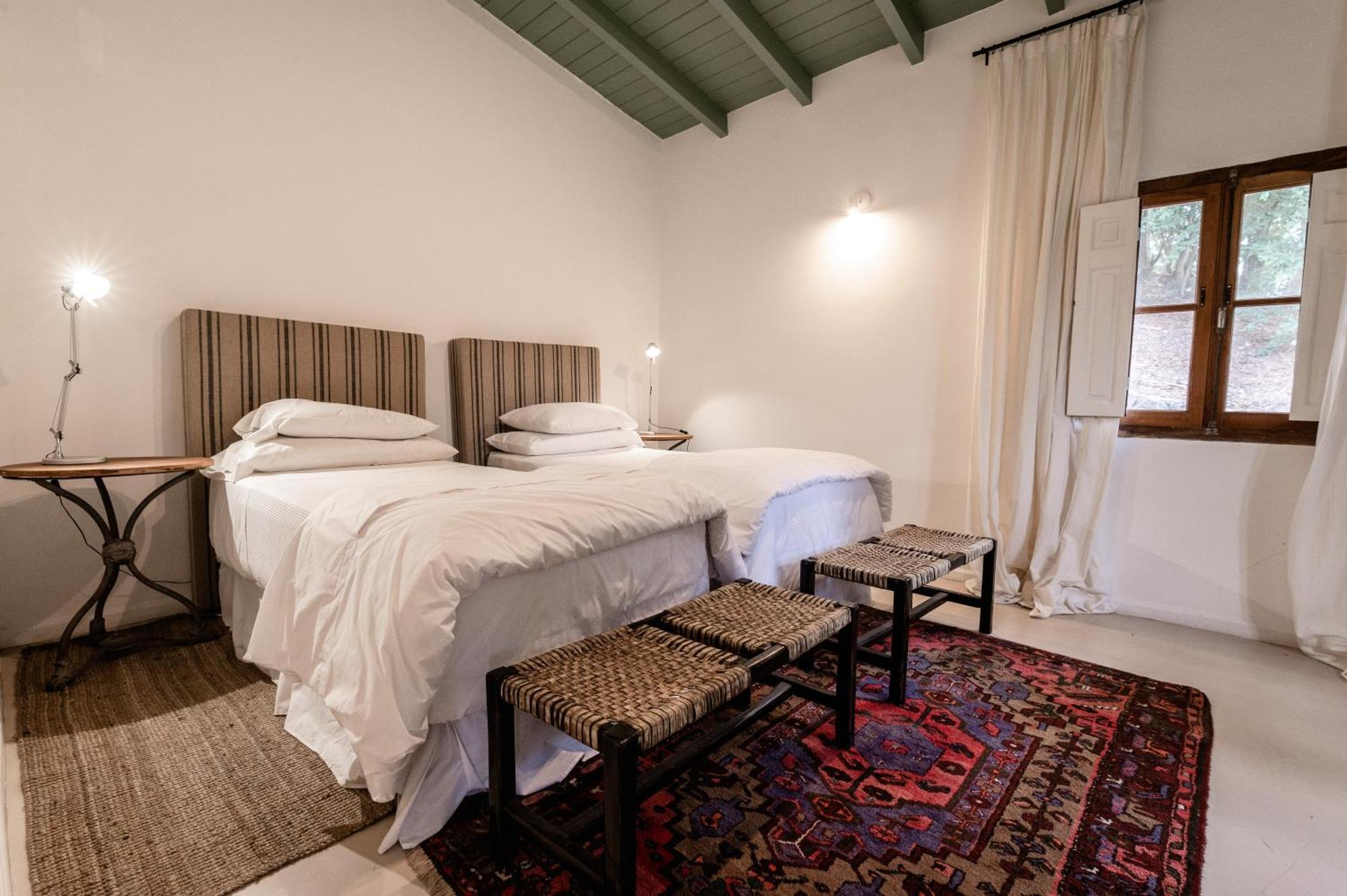 Scratch House Hotel Boutique Villa Allende Exteriör bild